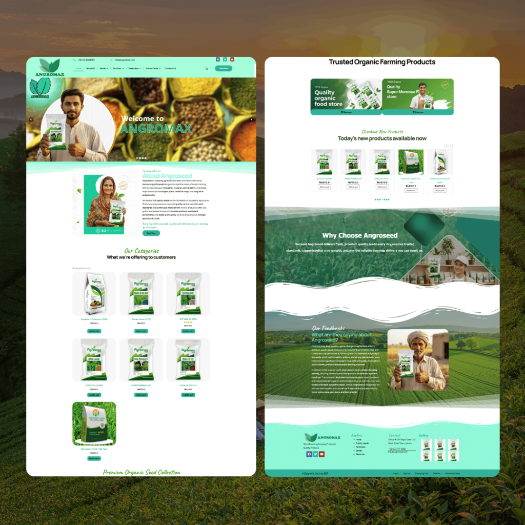 Web Development